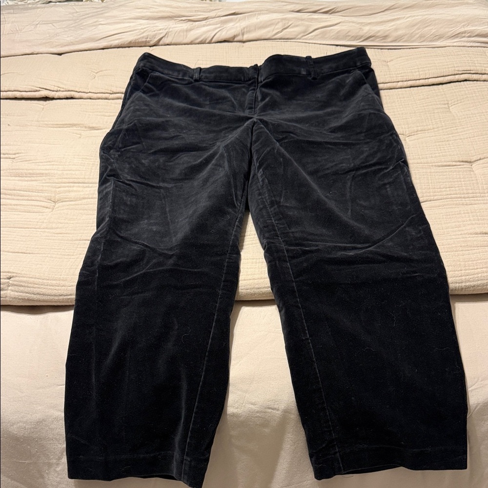 LOFT women’s dark velvet Pants